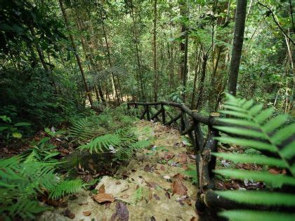 Exploring Biodiversity in Padang Nature Attractions