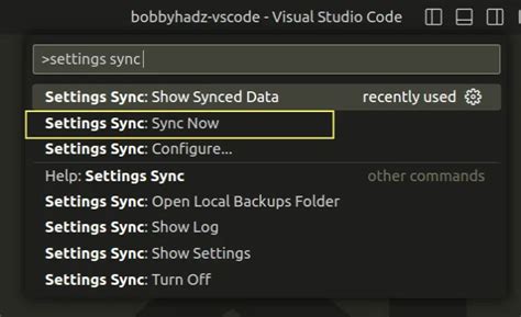 export visual studio code settings and extensions