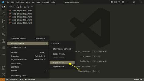 export vscode configuration