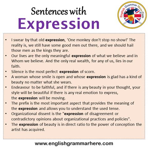 expression example sentence