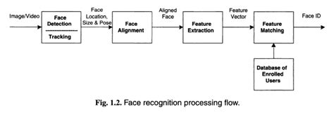 face detection process