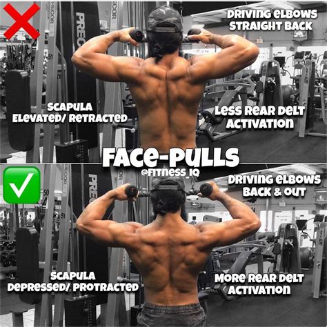 face pulls