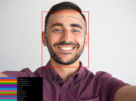 faceapp can't detect face