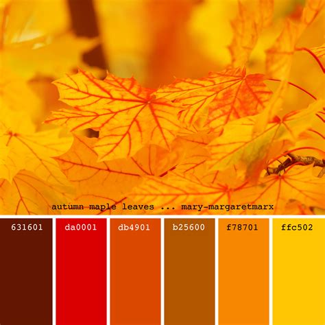 fall orange hex code