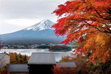 Musim Gugur di Jepang