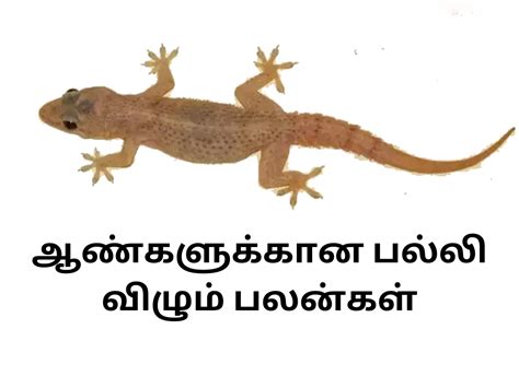 falling to meaning in tamil