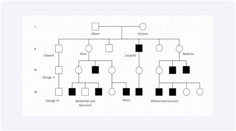 Family Pedigree Chart Example
