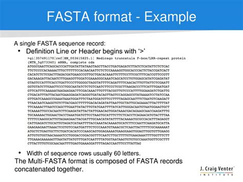 fasta format example