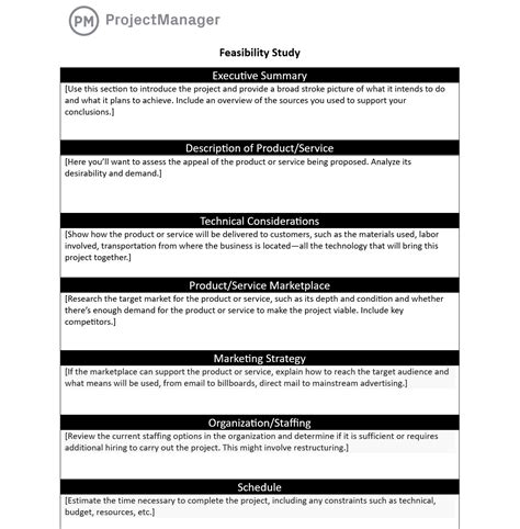 feasibility study template word