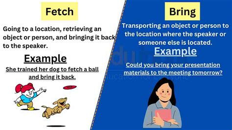 fetch meaning in english