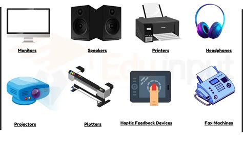 few examples of output devices