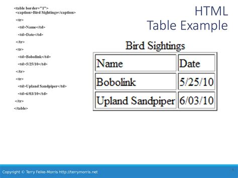 figure caption example html
