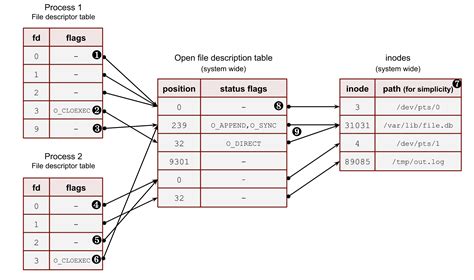 file descriptor example