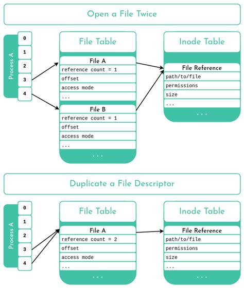 file descriptor meaning in c