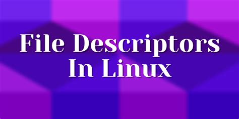 file descriptor meaning in linux