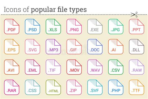 file extension categories