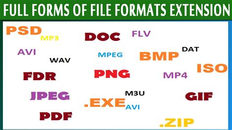 file full form