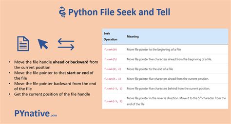 file pointer in python example