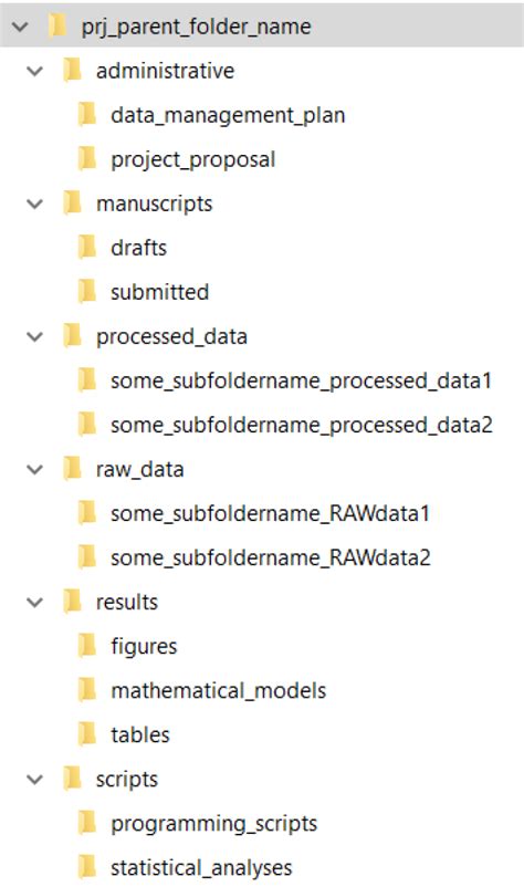 file structure examples