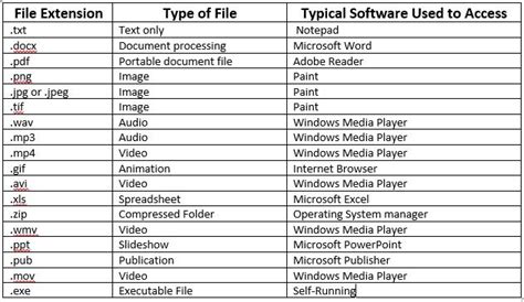 file type classification