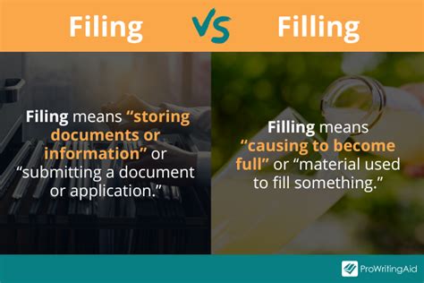filing description meaning example