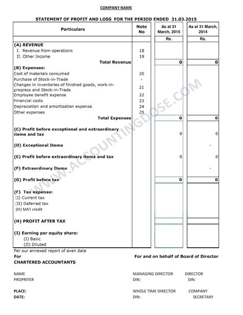 financial statement format in excel as per companies act 2013