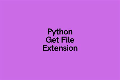 find file extension in python
