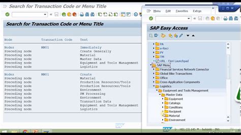 find sap menu path for transaction code