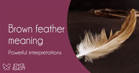 finding a brown feather meaning