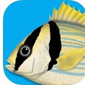fish identification app convenience