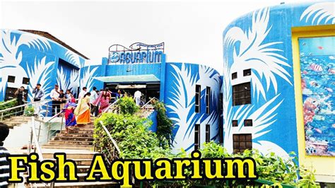 fish aquarium surat adajan ticket price