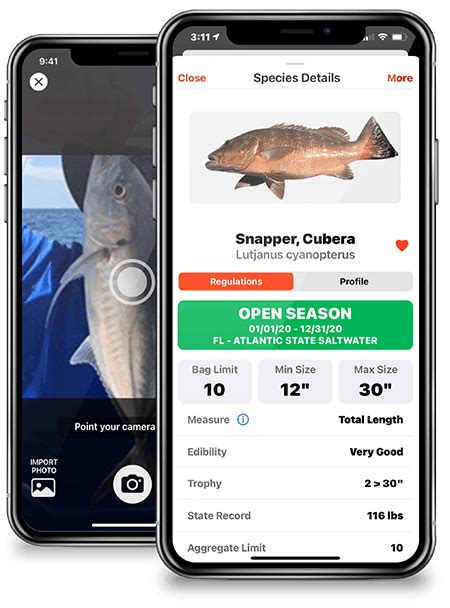 fish identification app interface