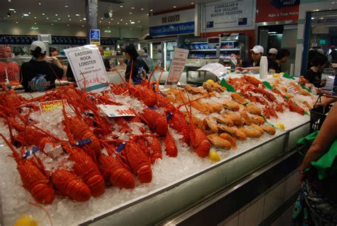 Fish Market Display
