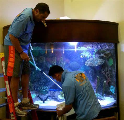 fish tank cleaner service