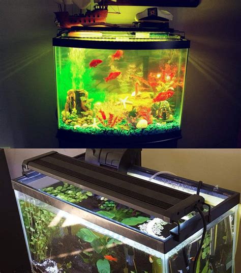 fish tank with led lights