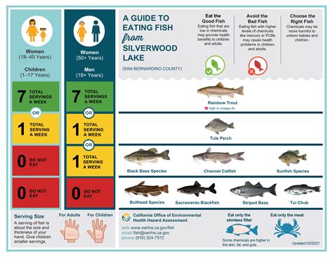 Fishing Limits and Size Restrictions