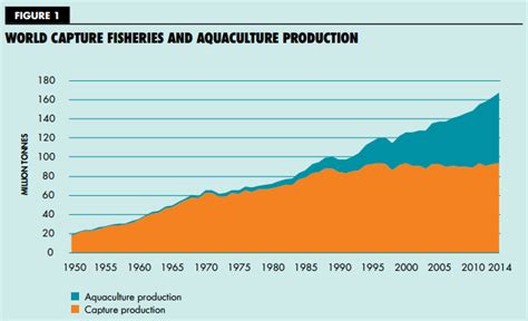 fishing report factors