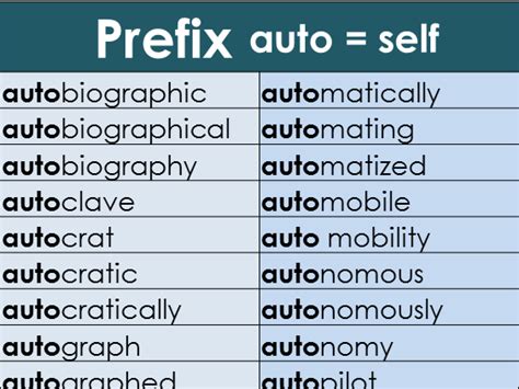 five words with prefix auto