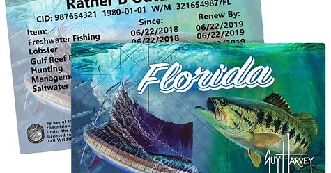 Florida fishing license renewal fees