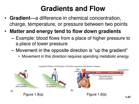 flow down gradient example