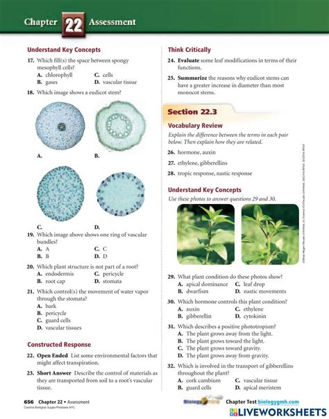 flower structure and function worksheet answers