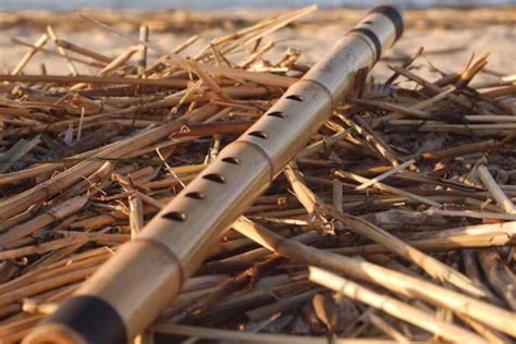 gambar flute instrument