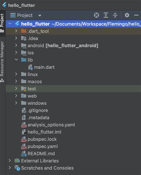flutter app folder structure