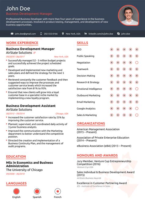 flutter developer cv example