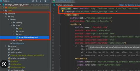 flutter package name