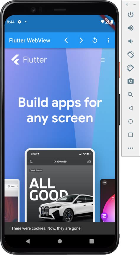 flutter webview clear cookies