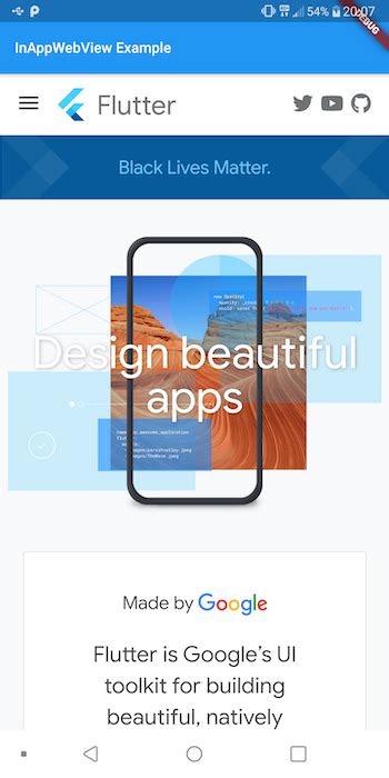 flutter webview sample code