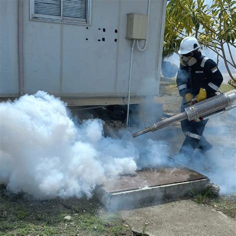 fogging nyamuk