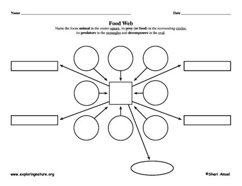 Food Web Blank Template