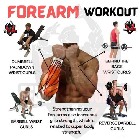 forearm exercise